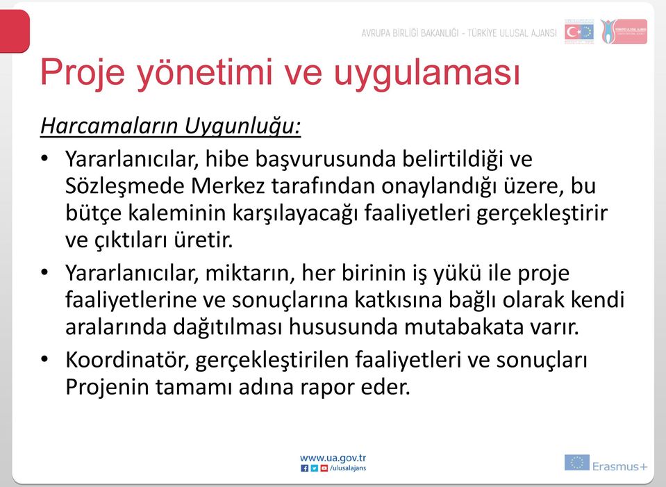 Yararlanıcılar, miktarın, her birinin iş yükü ile proje faaliyetlerine ve sonuçlarına katkısına bağlı olarak kendi