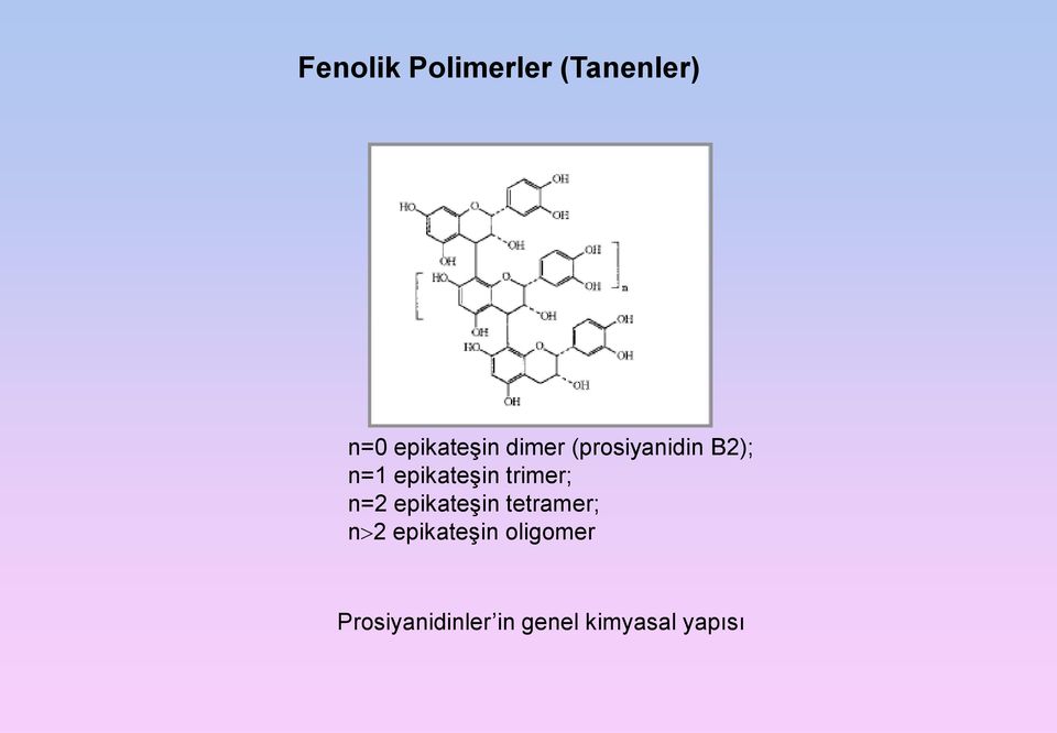 trimer; n=2 epikateşin tetramer; n 2