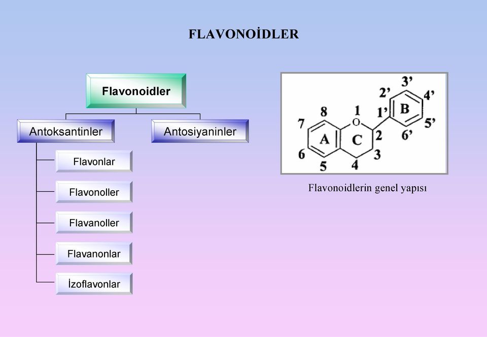 Flavonlar Flavonoller