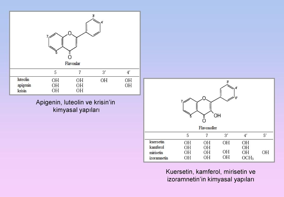 Kuersetin, kamferol,