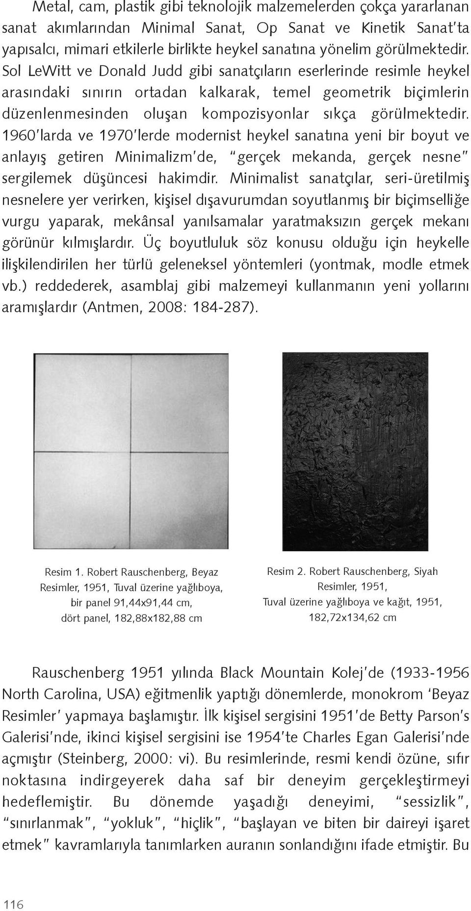 Sol LeWitt ve Donald Judd gibi sanatçıların eserlerinde resimle heykel arasındaki sınırın ortadan kalkarak, temel geometrik biçimlerin düzenlenmesinden olu an kompozisyonlar sıkça  1960 larda ve 1970