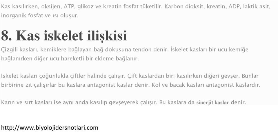 İskelet kasları bir ucu kemiğe bağlanırken diğer ucu hareketli bir ekleme bağlanır. İskelet kasları çoğunlukla çiftler halinde çalışır.