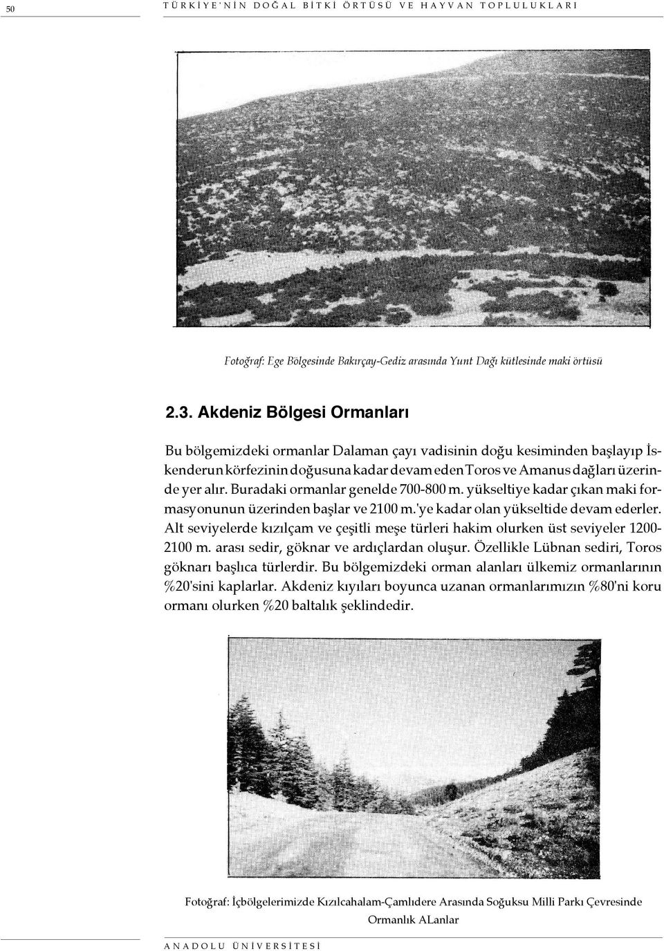 Buradaki ormanlar genelde 700-800 m. yükseltiye kadar çıkan maki formasyonunun üzerinden başlar ve 2100 m.'ye kadar olan yükseltide devam ederler.