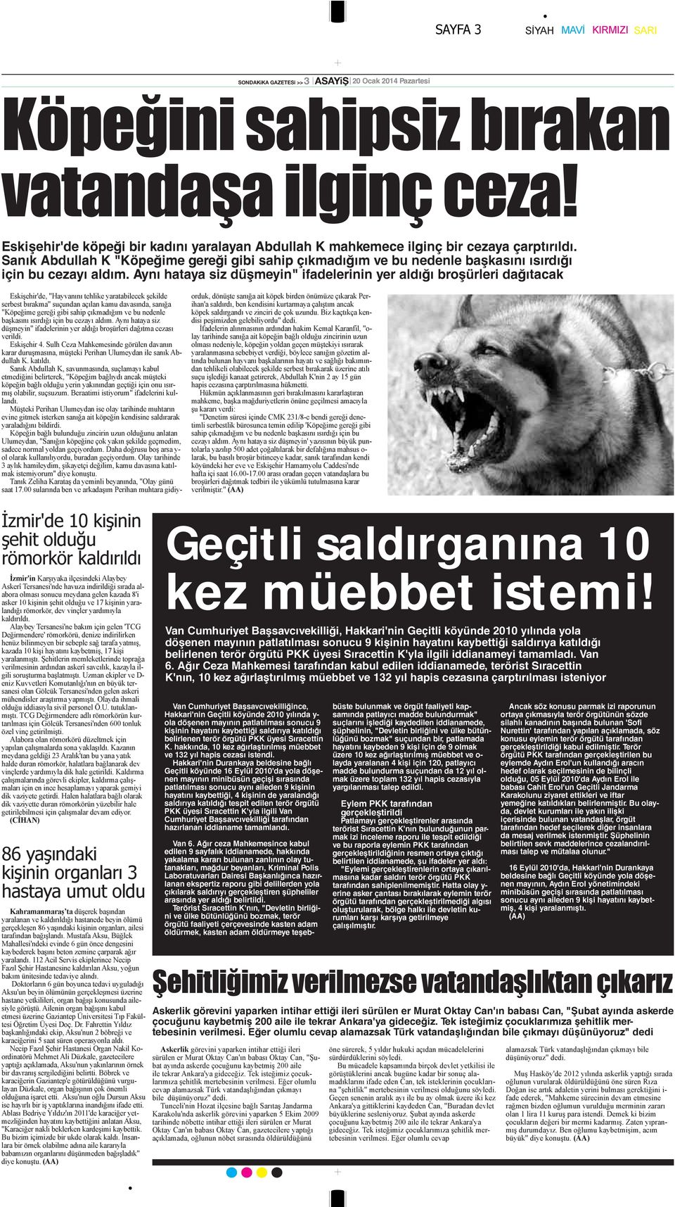 Sanık Abdullah K "Köpeğime gereği gibi sahip çıkmadığım ve bu nedenle başkasını ısırdığı için bu cezayı aldım.