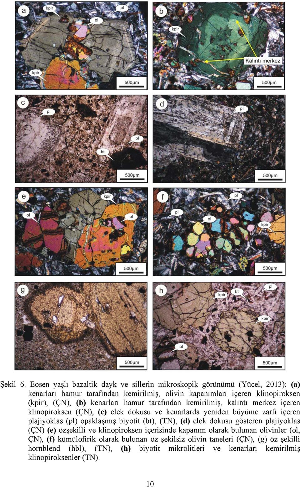 (ÇN), (b) kenarları hamur tarafından kemirilmiş, kalıntı merkez içeren klinopiroksen (ÇN), (c) elek dokusu ve kenarlarda yeniden büyüme zarfı içeren plajiyoklas (pl)
