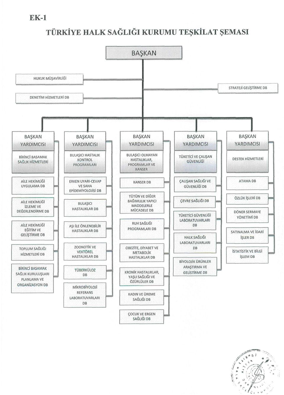 YARDIMCISI YARDIMCISI YARDIMCISI BİRİNCİ BASAMAK SAĞLIK HİZMETLERİ BULAŞICI HASTALIK KONTROL PROGRAMLARI BULAŞICI OLMAYAN HASTALIKLAR, PROGRAMLAR VE KANSER TÜKETİCİ VE ÇALIŞAN GÜVENLİĞİ DESTEK