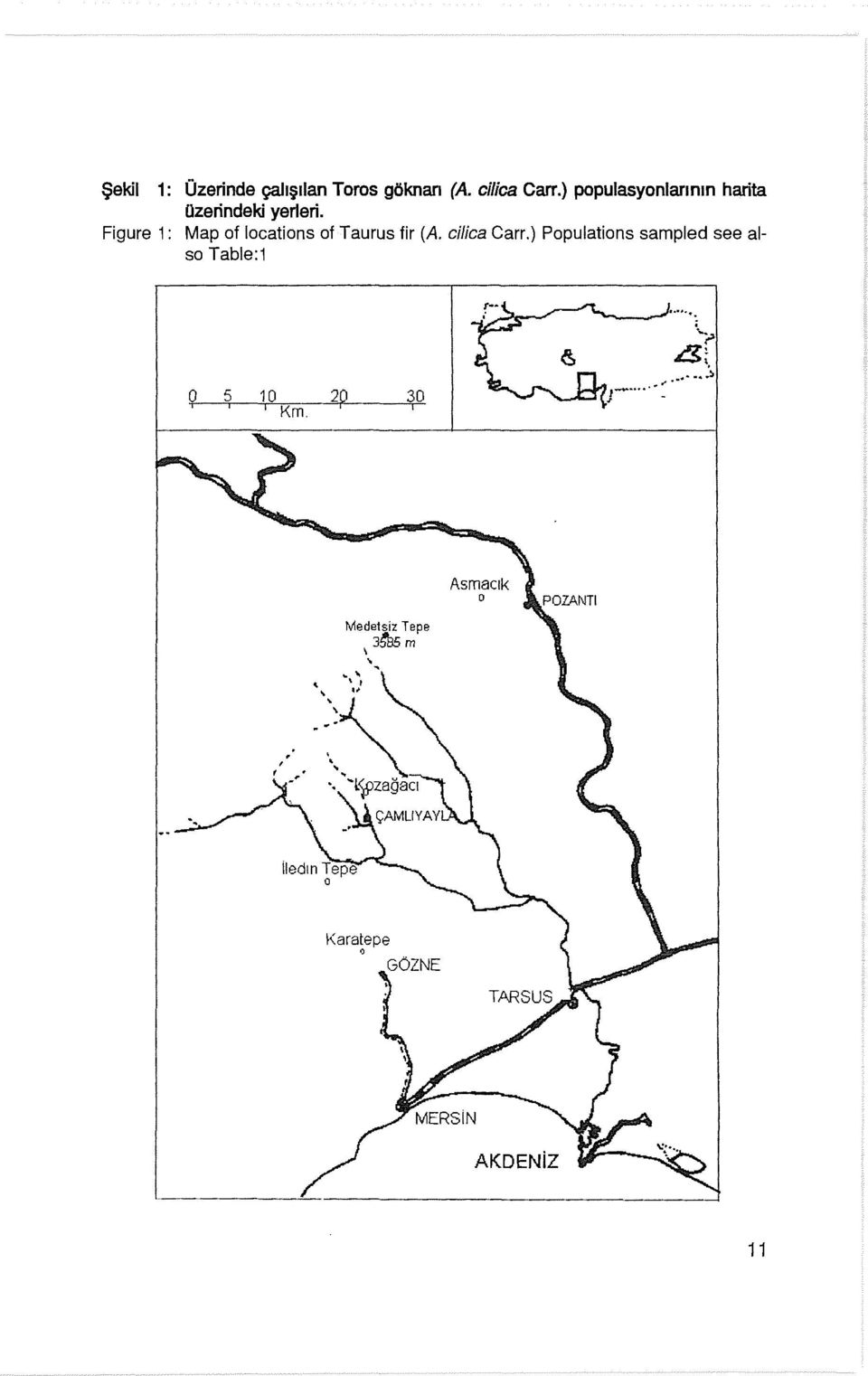 Figure 1: Map of locations of Taurus fir (A ci!ica Carr.