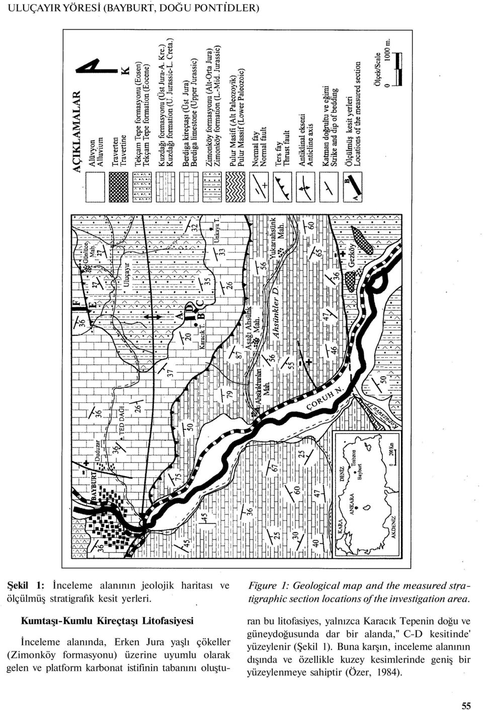 tabanını oluştu- Figure 1: Geological map and the measured stratigraphic section locations of the investigation area.