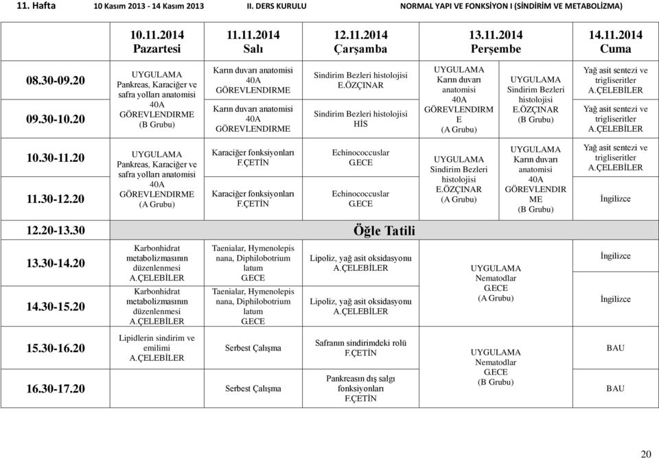 histolojisi HİS Karın duvarı anatomisi 40A GÖREVLENDIRM E Sindirim Bezleri histolojisi Yağ asit sentezi ve trigliseritler Yağ asit sentezi ve trigliseritler Pankreas, Karaciğer ve safra yolları