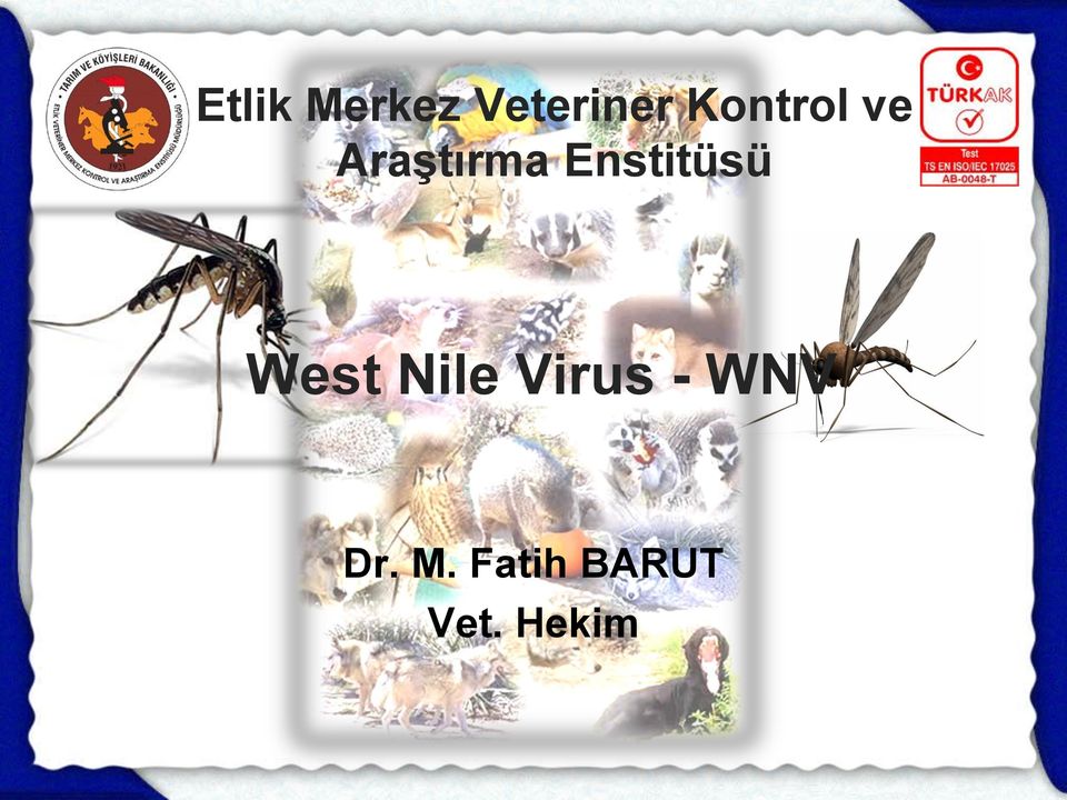 Enstitüsü West Nile Virus