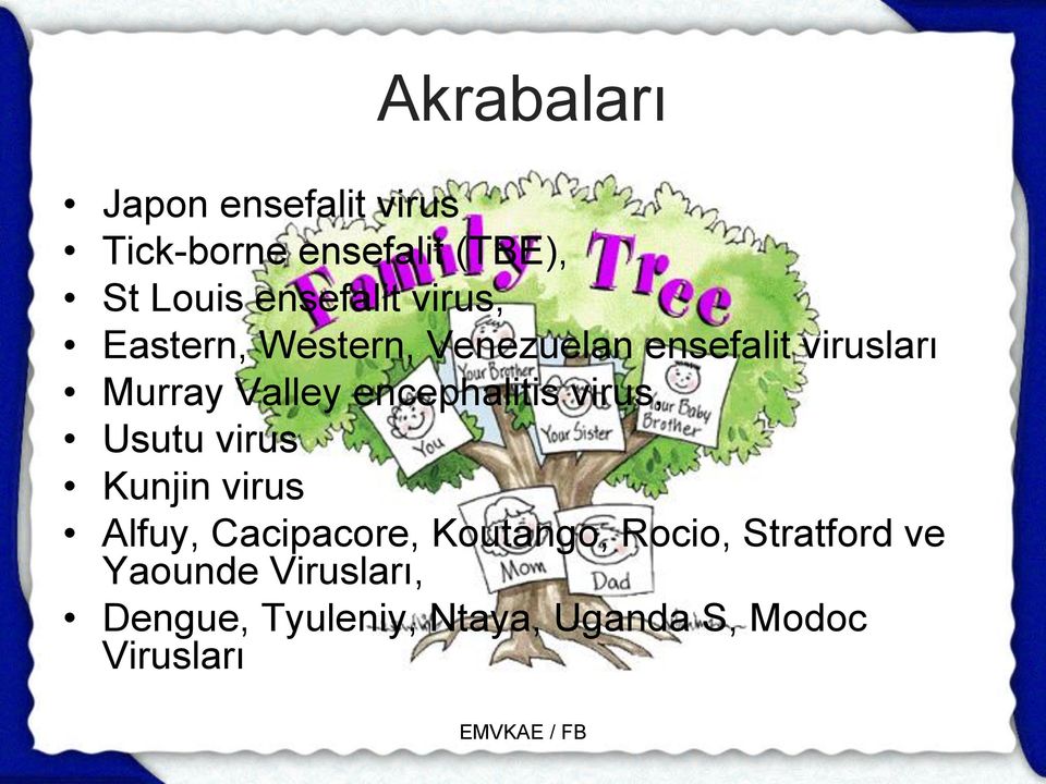 Valley encephalitis virus, Usutu virus Kunjin virus Alfuy, Cacipacore,