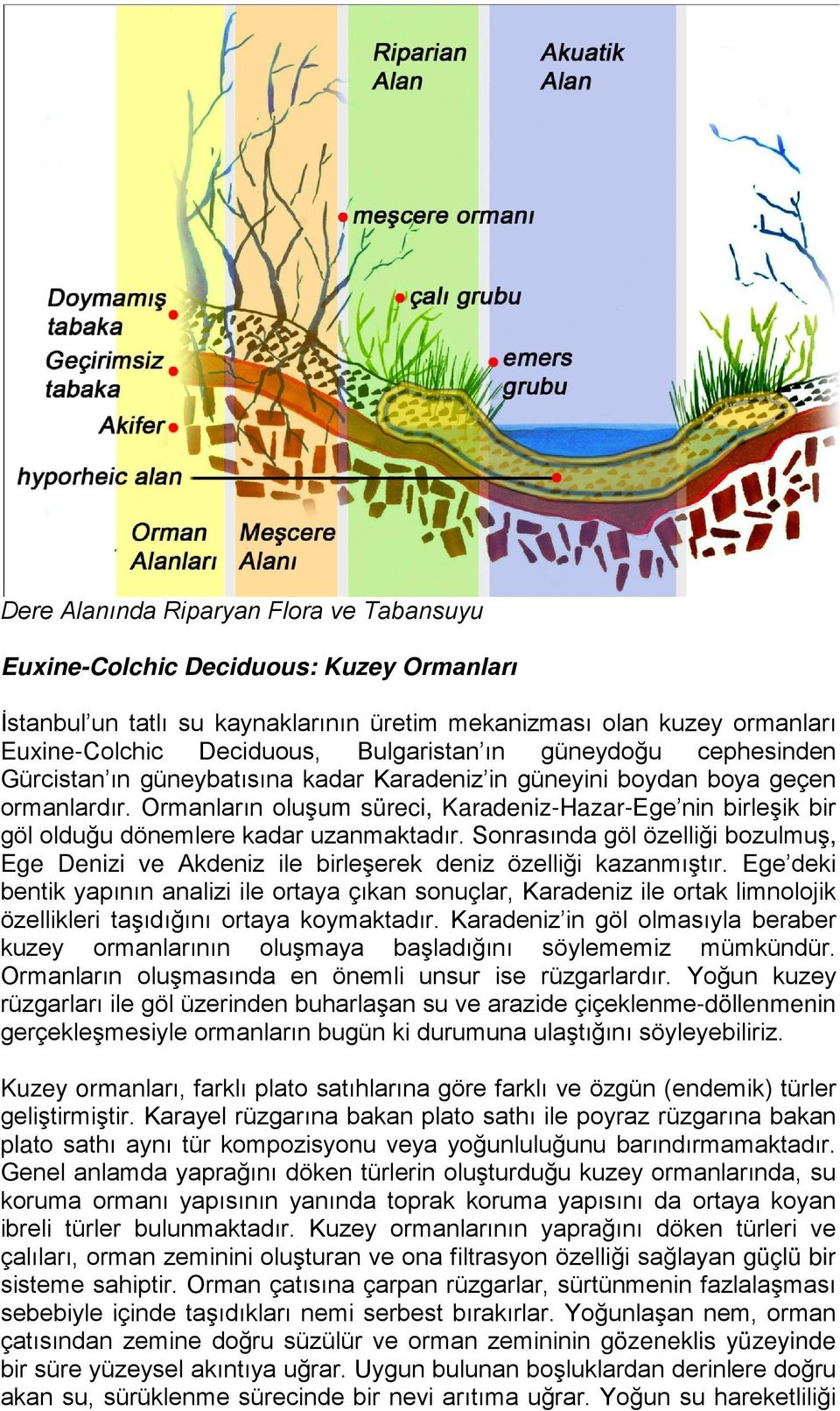 Ormanların oluşum süreci, Karadeniz-Hazar-Ege nin birleşik bir göl olduğu dönemlere kadar uzanmaktadır.