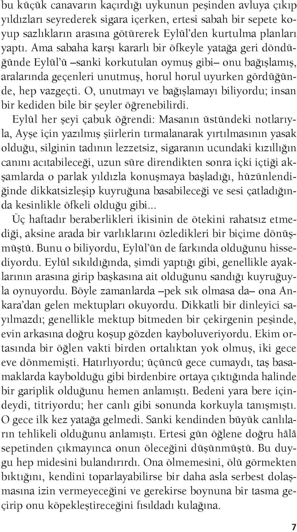 O, unutmayı ve bağışlamayı biliyordu; insan bir kediden bile bir şeyler öğrenebilirdi.