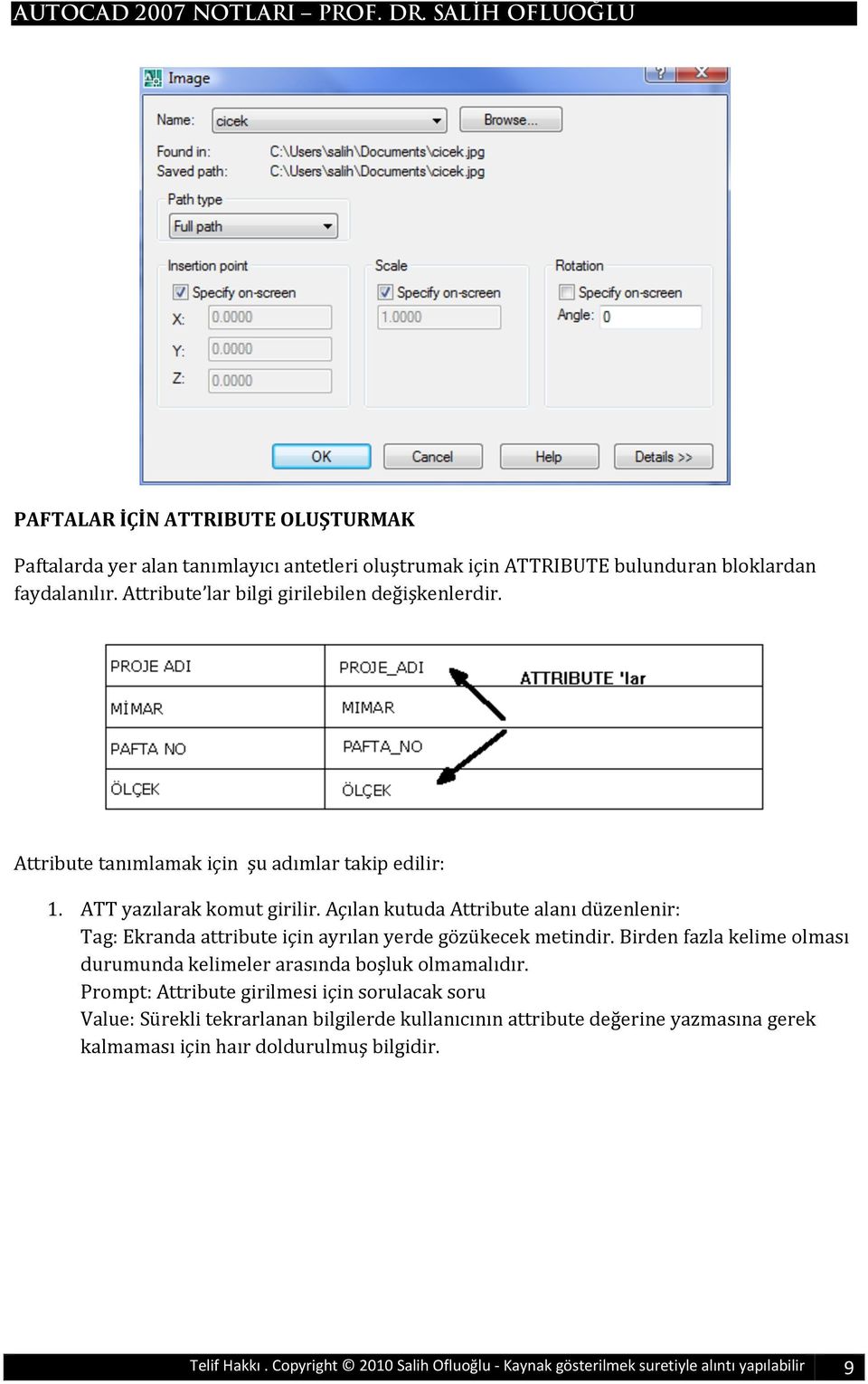 AçılankutudaAttributealanıdüzenlenir: Tag:Ekrandaattributeiçinayrılanyerdegözükecekmetindir.Birdenfazlakelimeolması durumundakelimelerarasındaboşlukolmamalıdır.