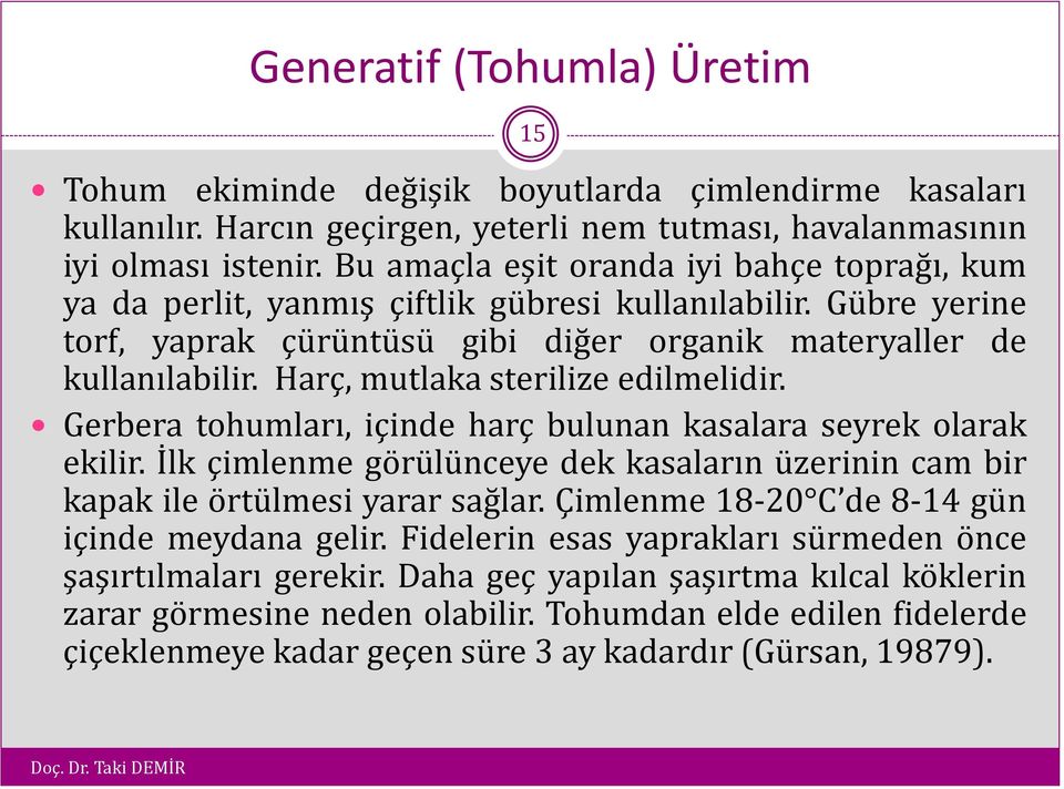 Harç, mutlaka sterilize edilmelidir. Gerbera tohumları, içinde harç bulunan kasalara seyrek olarak ekilir. İlk çimlenme görülünceye dek kasaların üzerinin cam bir kapak ile örtülmesi yarar sağlar.