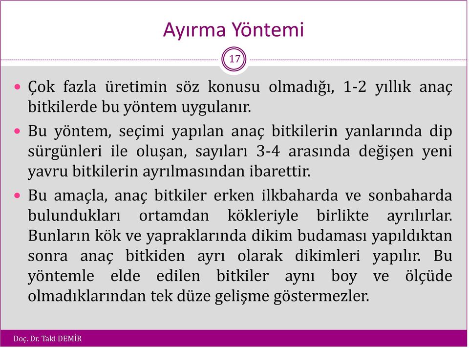 ayrılmasından ibarettir. Bu amaçla, anaç bitkiler erken ilkbaharda ve sonbaharda bulundukları ortamdan kökleriyle birlikte ayrılırlar.