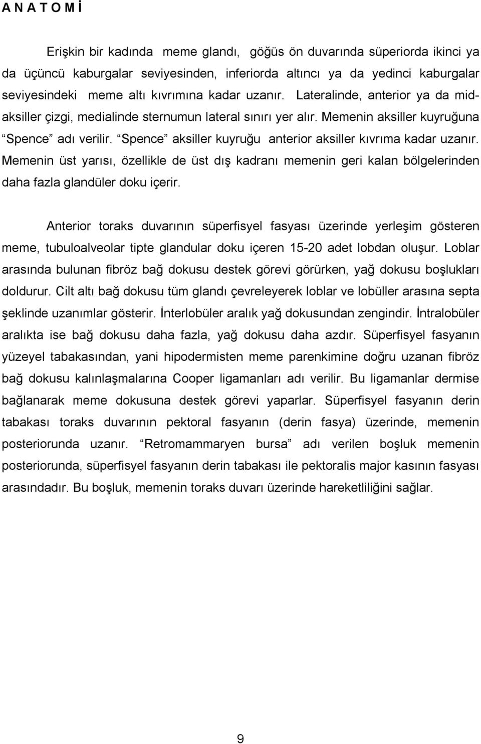 Spence aksiller kuyruğu anterior aksiller kıvrıma kadar uzanır. Memenin üst yarısı, özellikle de üst dış kadranı memenin geri kalan bölgelerinden daha fazla glandüler doku içerir.