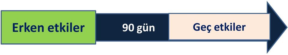 90 gün