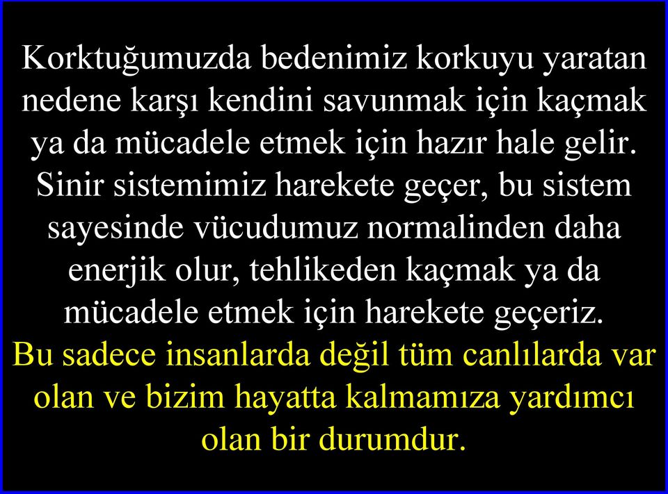 Sinir sistemimiz harekete geçer, bu sistem sayesinde vücudumuz normalinden daha enerjik olur,