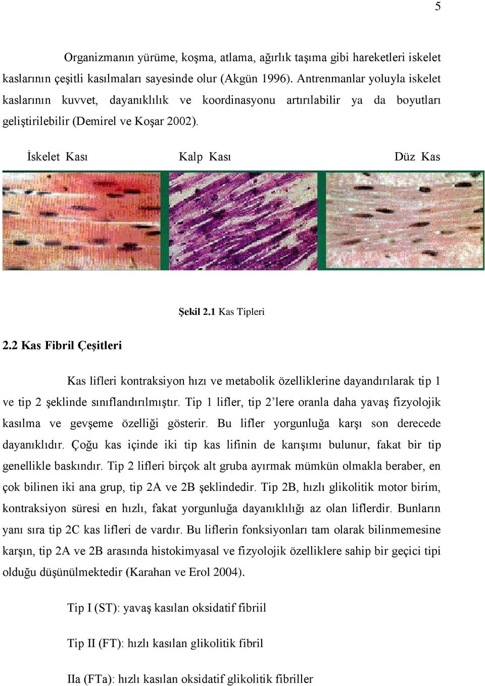 1 Kas Tipleri 2.2 Kas Fibril Çeşitleri Kas lifleri kontraksiyon hızı ve metabolik özelliklerine dayandırılarak tip 1 ve tip 2 şeklinde sınıflandırılmıştır.