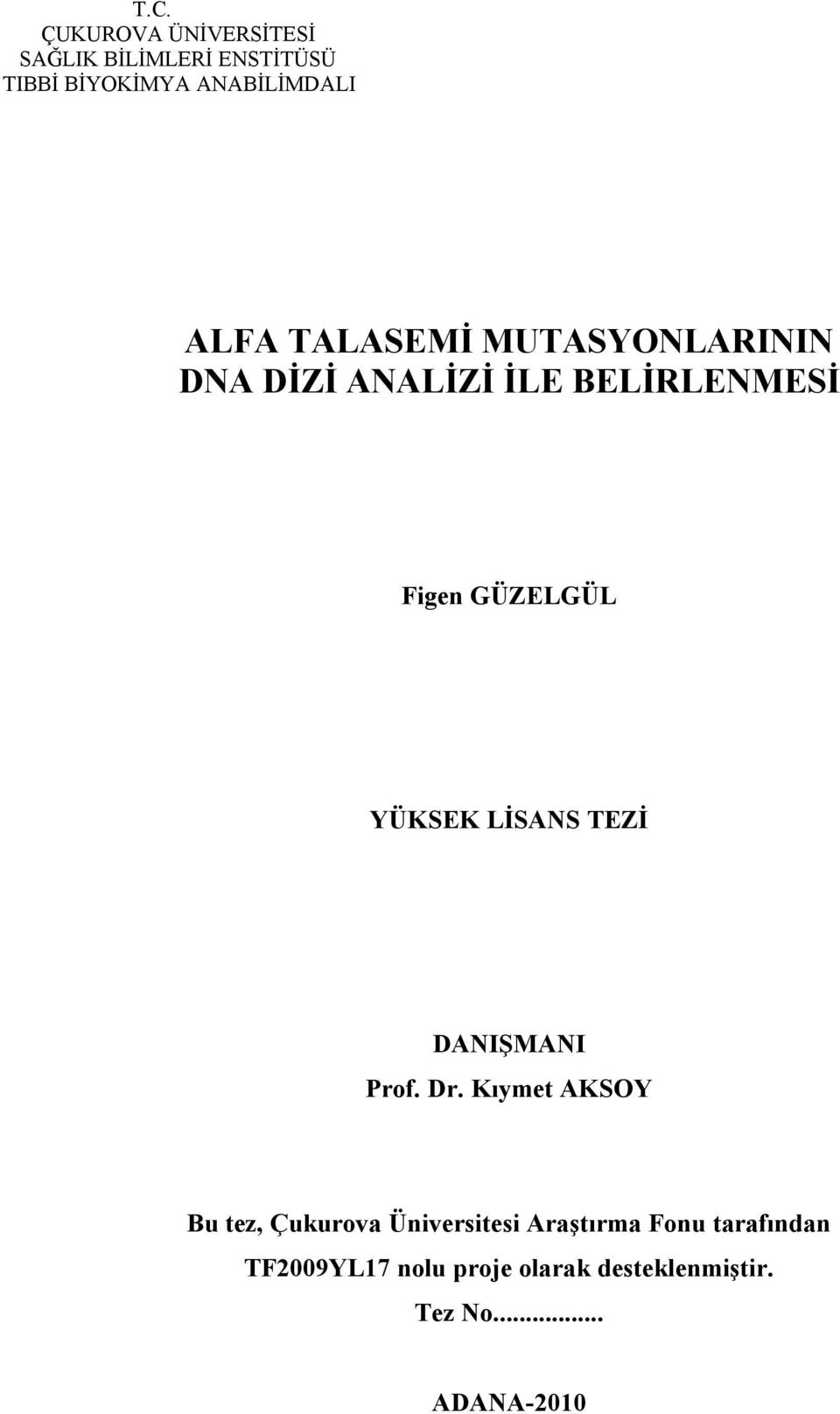 YÜKSEK LİSANS TEZİ DANIŞMANI Prof. Dr.