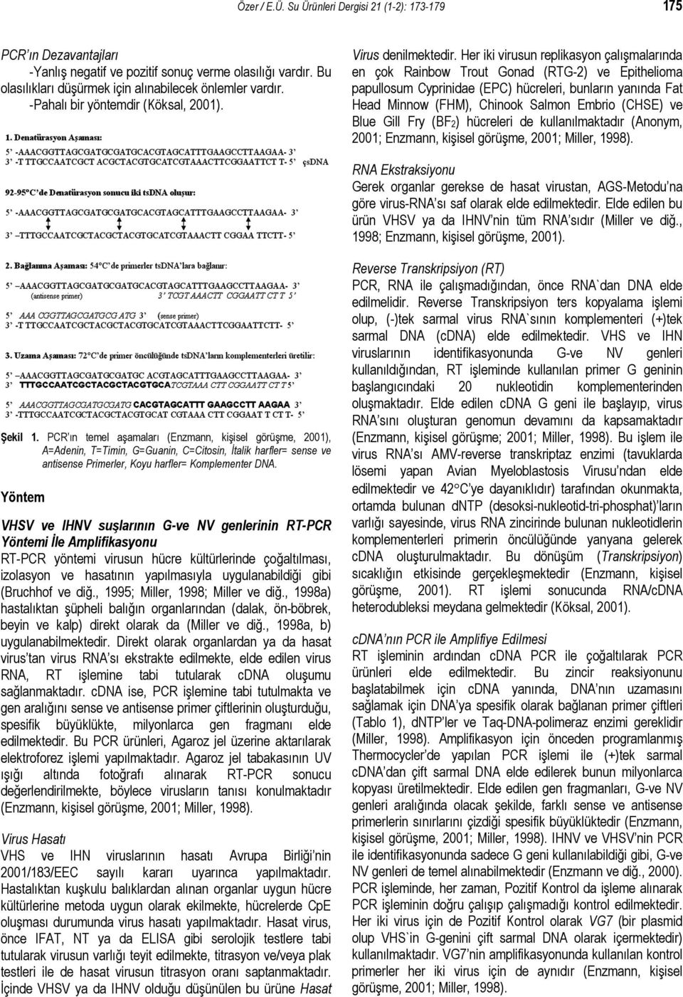 Her iki virusun replikasyon çalışmalarında en çok Rainbow Trout Gonad (RTG-2) ve Epithelioma papullosum Cyprinidae (EPC) hücreleri, bunların yanında Fat Head Minnow (FHM), Chinook Salmon Embrio