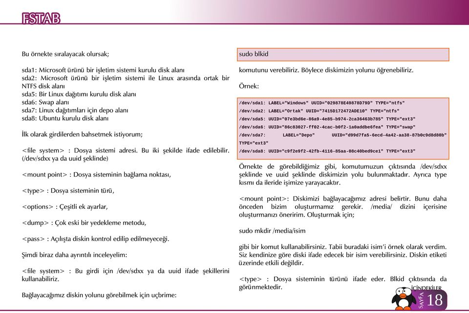 İlk olarak girdilerden bahsetmek istiyorum; <file system> : Dosya sistemi adresi. Bu iki şekilde ifade edilebilir.