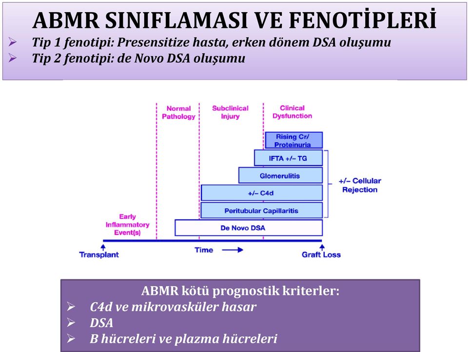 fenotipi: de Novo DSA oluşumu ABMR kötü prognostik