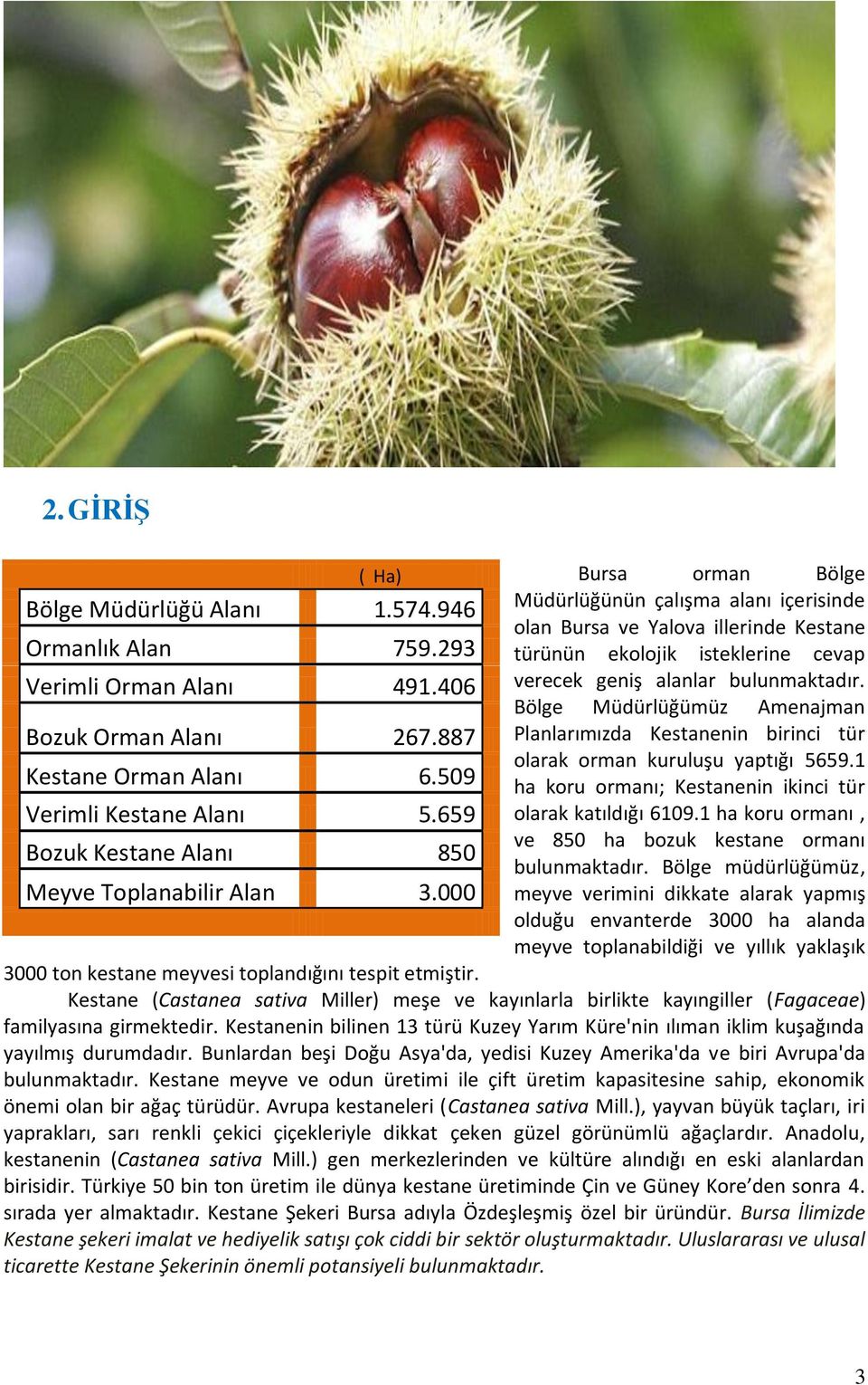 000 Bursa orman Bölge Müdürlüğünün çalışma alanı içerisinde olan Bursa ve Yalova illerinde Kestane türünün ekolojik isteklerine cevap verecek geniş alanlar bulunmaktadır.