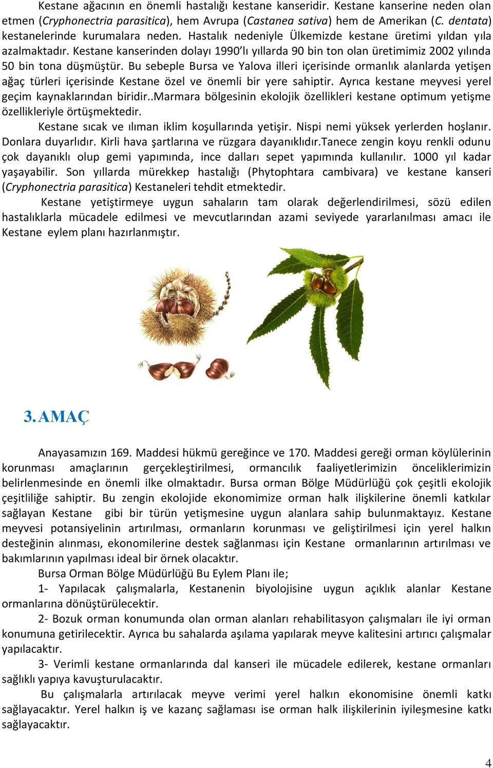 Kestane kanserinden dolayı 1990 lı yıllarda 90 bin ton olan üretimimiz 2002 yılında 50 bin tona düşmüştür.