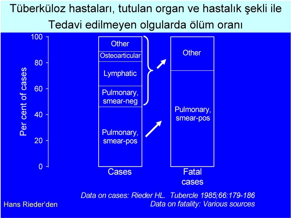 oranı Other Osteoarticular Lymphatic Pulmonary, smear-neg Pulmonary, smear-pos Other Pulmonary, smear-pos 0