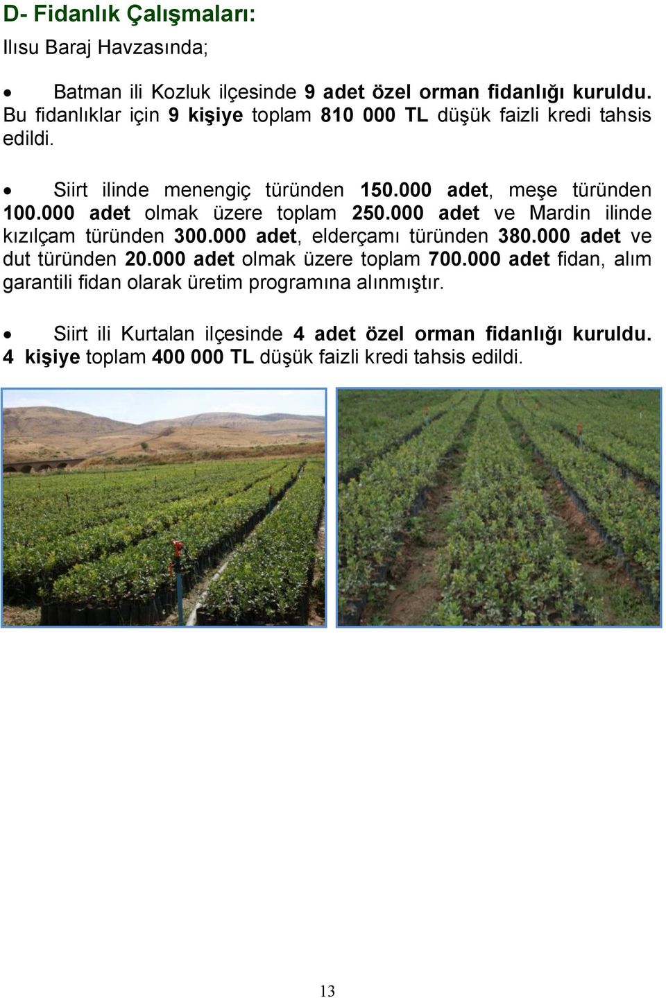 000 adet olmak üzere toplam 250.000 adet ve Mardin ilinde kızılçam türünden 300.000 adet, elderçamı türünden 380.000 adet ve dut türünden 20.