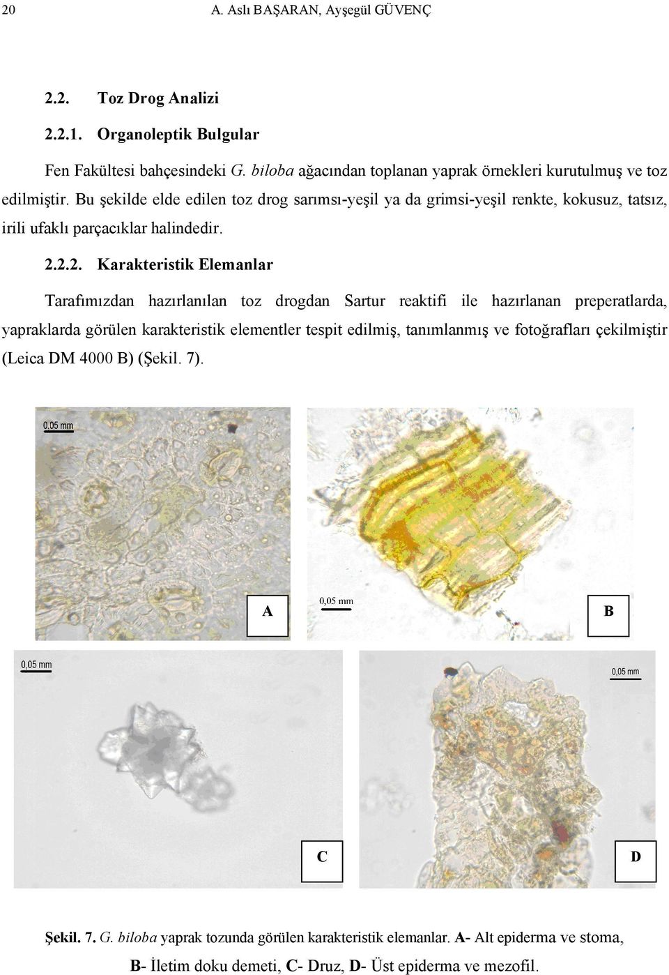 u şekilde elde edilen toz drog sarımsı-yeşil ya da grimsi-yeşil renkte, kokusuz, tatsız, irili ufaklı parçacıklar halindedir. 2.