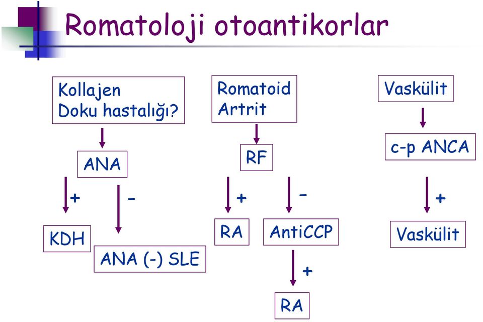 Romatoid Artrit Vaskülit c-p ANCA