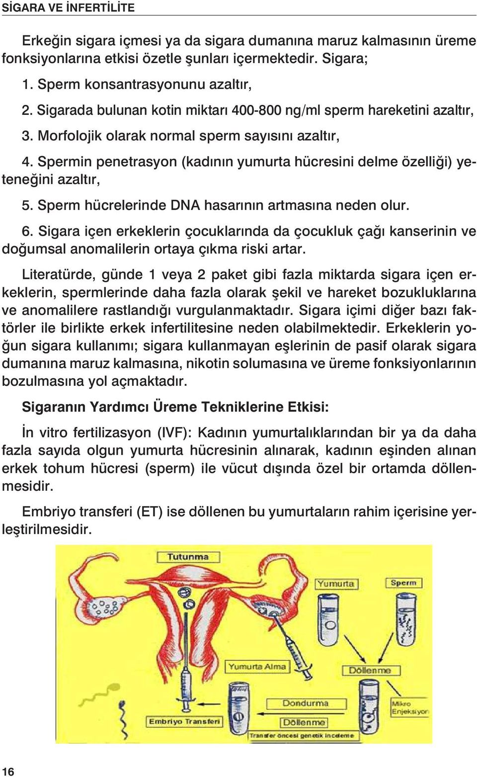 Spermin penetrasyon (kadının yumurta hücresini delme özelliği) yeteneğini azaltır, 5. Sperm hücrelerinde DNA hasarının artmasına neden olur. 6.