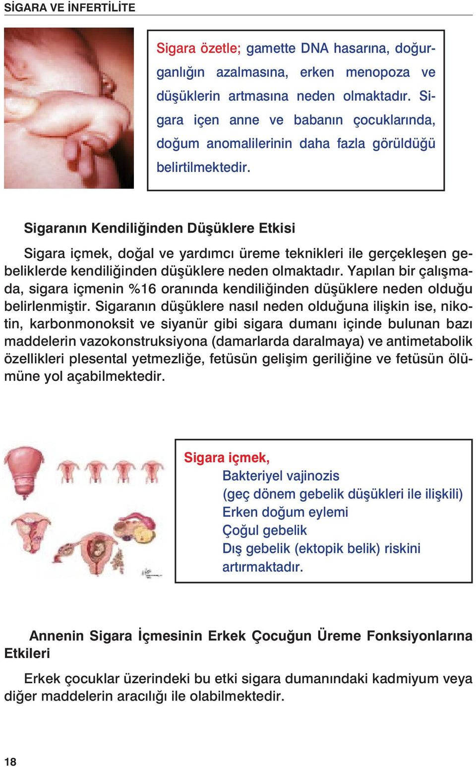 Sigaranın Kendiliğinden Düşüklere Etkisi Sigara içmek, doğal ve yardımcı üreme teknikleri ile gerçekleşen gebeliklerde kendiliğinden düşüklere neden olmaktadır.