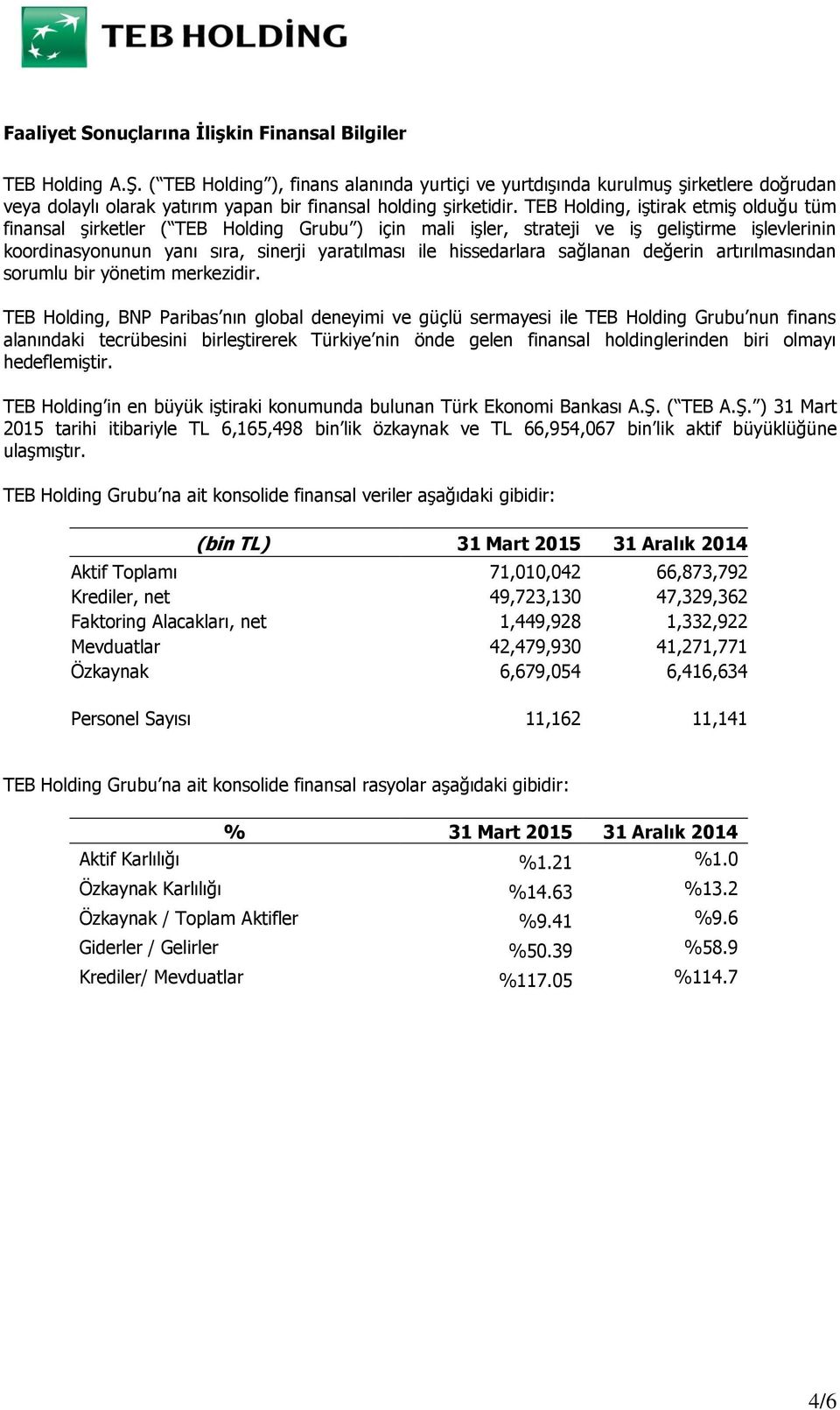 TEB Holding, iştirak etmiş olduğu tüm finansal şirketler ( TEB Holding Grubu ) için mali işler, strateji ve iş geliştirme işlevlerinin koordinasyonunun yanı sıra, sinerji yaratılması ile hissedarlara