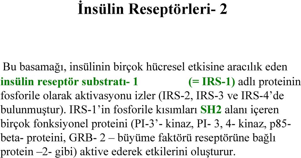 bulunmuştur).