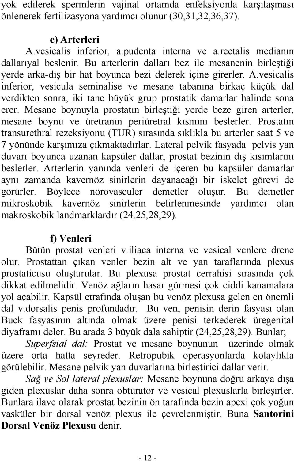 vesicalis inferior, vesicula seminalise ve mesane tabanına birkaç küçük dal verdikten sonra, iki tane büyük grup prostatik damarlar halinde sona erer.