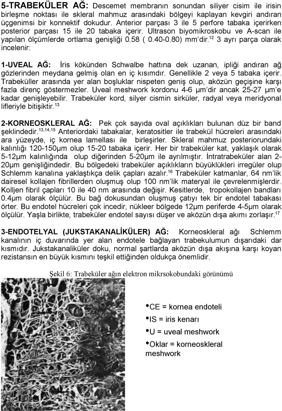 12 3 ayrı parça olarak incelenir: 1-UVEAL AĞ: İris kökünden Schwalbe hattına dek uzanan, ipliği andıran ağ gözlerinden meydana gelmiş olan en iç kısımdır. Genellikle 2 veya 5 tabaka içerir.