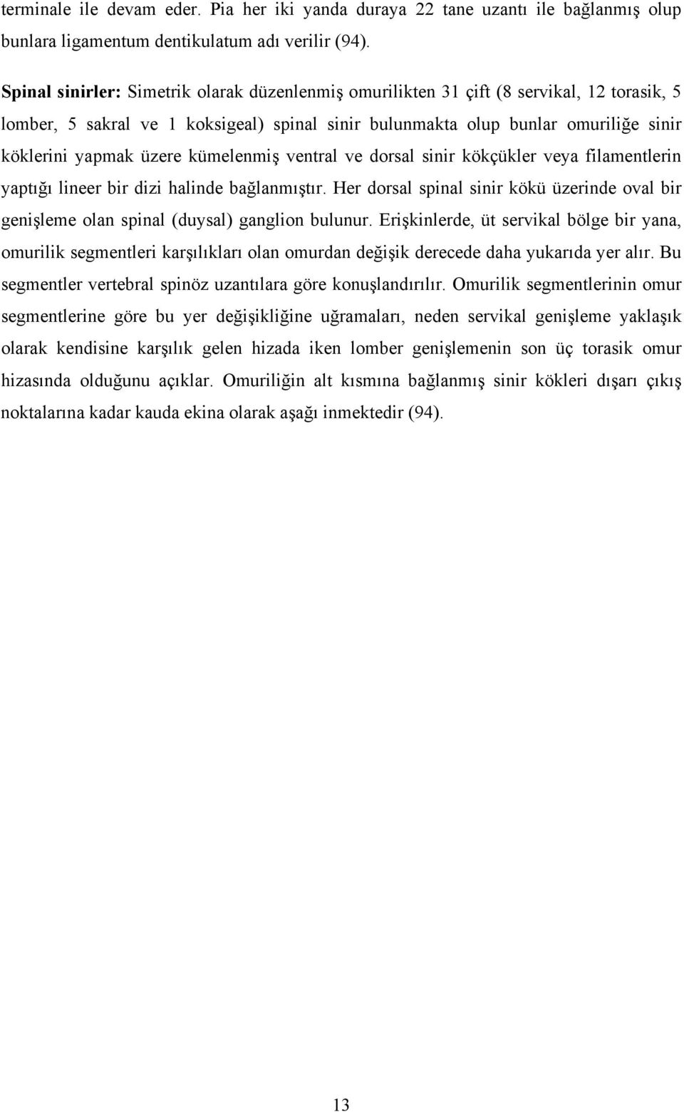 kümelenmiş ventral ve dorsal sinir kökçükler veya filamentlerin yaptığı lineer bir dizi halinde bağlanmıştır.