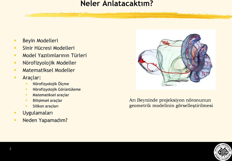 Modeller Matematiksel Modeller Araçlar: Nörofizyolojik Ölçme Nörofizyolojik Görüntüleme