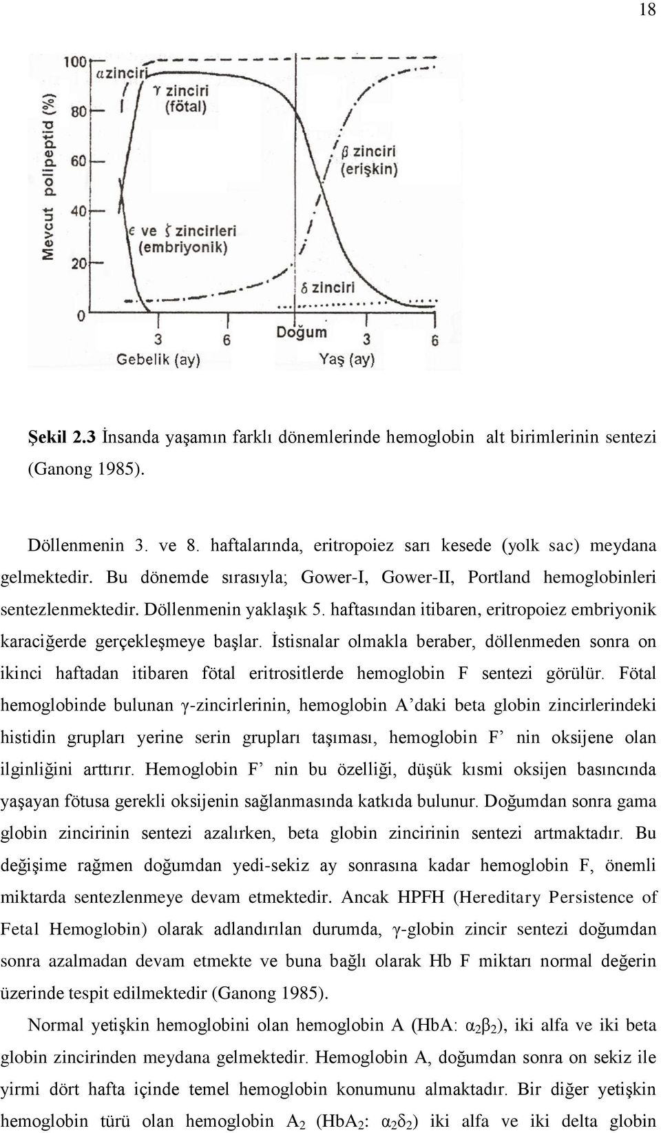 İstisnalar olmakla beraber, döllenmeden sonra on ikinci haftadan itibaren fötal eritrositlerde hemoglobin F sentezi görülür.