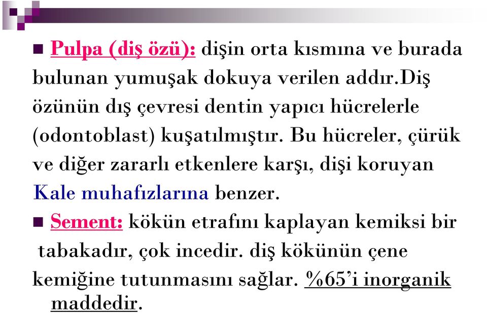 Bu hücreler, çürük ve diğer zararlı etkenlere karşı, dişi koruyan Kale muhafızlarına benzer.