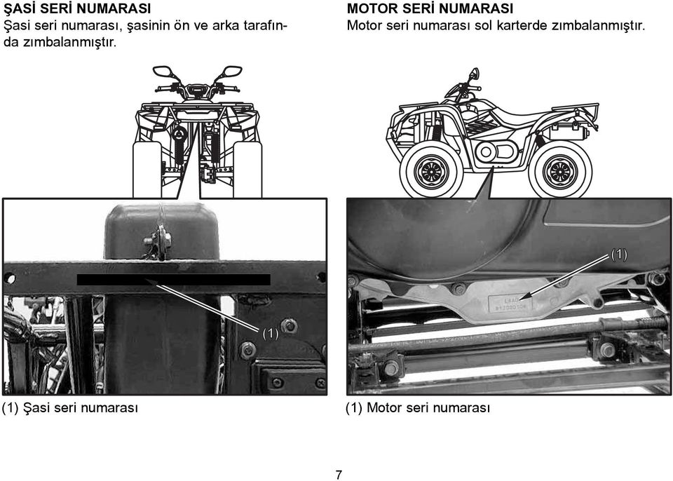 MOTOR ENGINESERÝ SERIAL NUMARASI NUMBER Motor The engine seri numarasý serial number sol karterde is