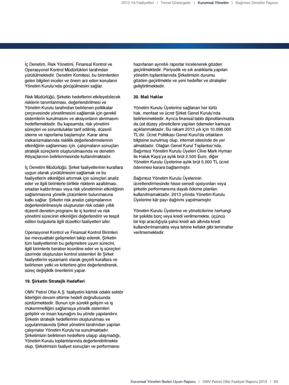 Risk Müdürlüğü, Şirketin hedeflerini etkileyebilecek risklerin tanımlanması, değerlendirilmesi ve Yönetim Kurulu tarafından belirlenen politikalar çerçevesinde yönetilmesini sağlamak için gerekli