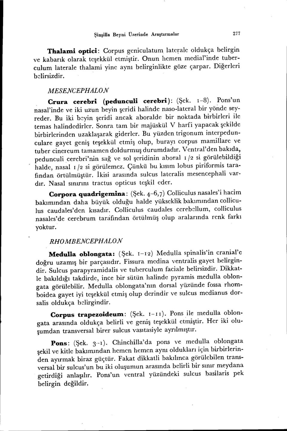 Pons'un nasal'inde ve iki uzun beyin şeridi halinde naso-lateral bir yöiıde seyreder. Bu iki b~yin ~eridi aneak aboralde bir noktada birbirleri ile temas halindedirler.