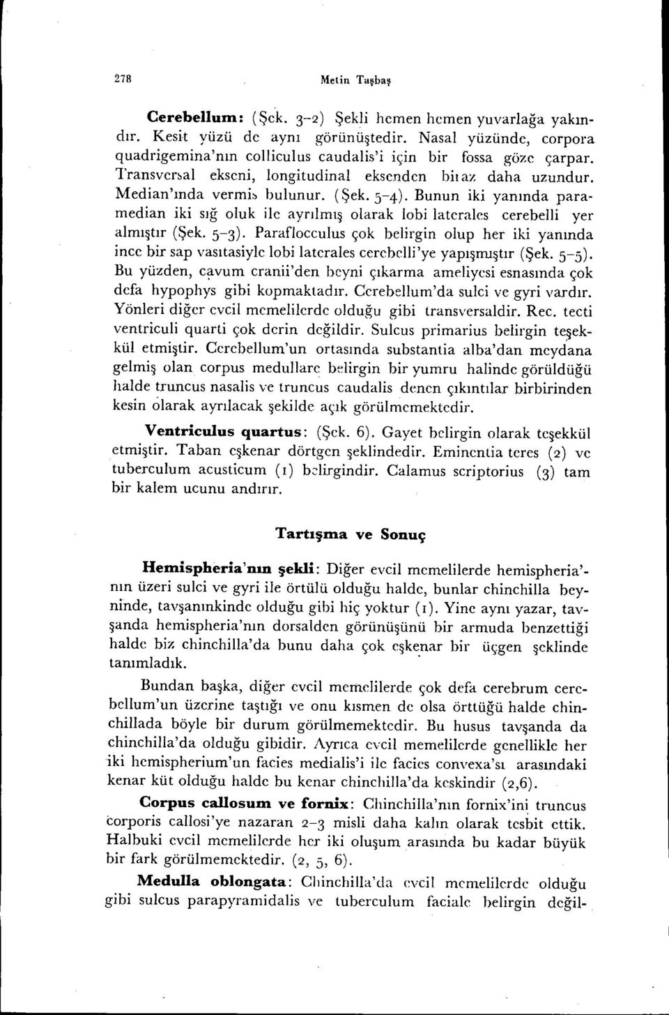 Bunun iki yanında paramedian iki sığ oluk ilc ayrılmış olarak lobi laterales eerebelli yer almıştır (Şek. 5-3).