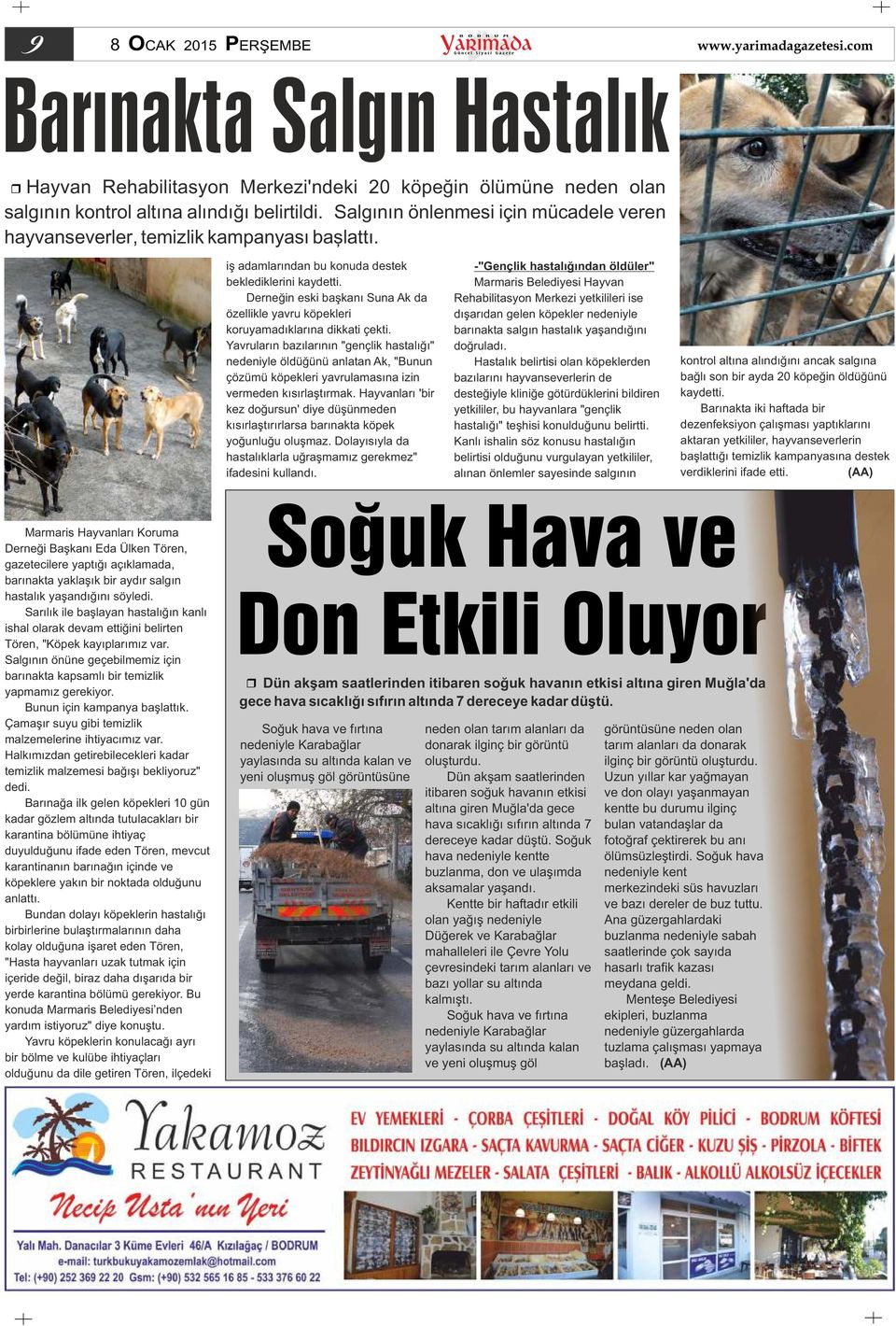 Derneğin eski başkanı Suna Ak da özellikle yavru köpekleri koruyamadıklarına dikkati çekti.