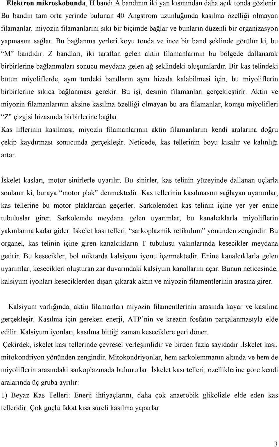 Bu bağlanma yerleri koyu tonda ve ince bir band şeklinde görülür ki, bu M bandıdır.